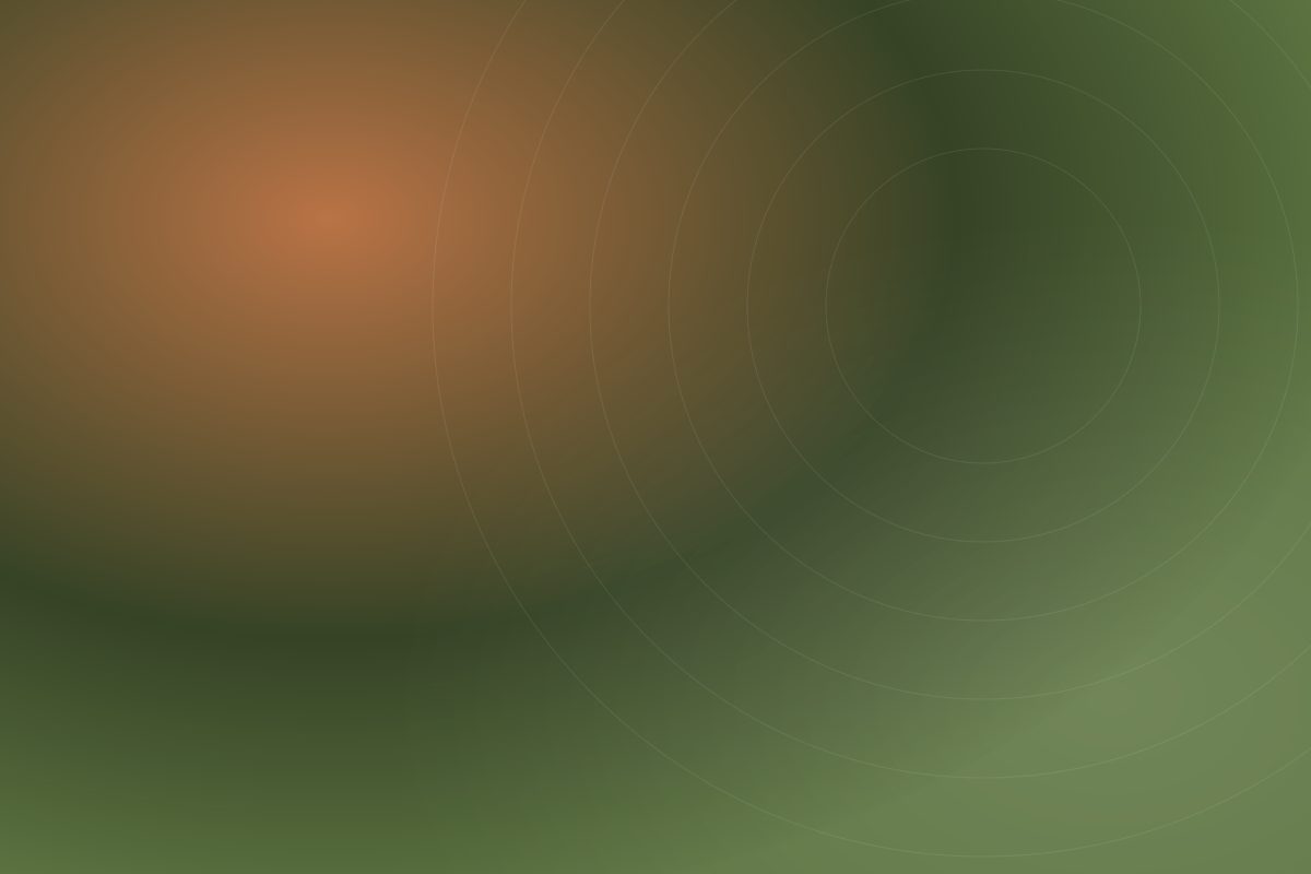 Mold Remediation in O’Fallon, MO | Air Duct Cleaning Productions